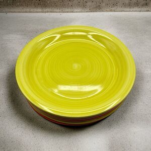 Citrus Grove Orange & Green 10 5/8in Dinner Plate - Set Of 6